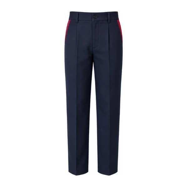 GD GOENKA BLUE TROUSER