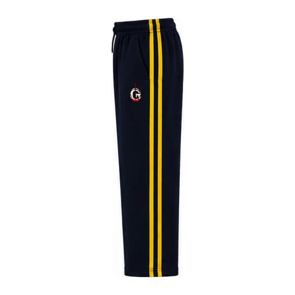 GD GOENKA BLUE TRACKPANT YELLOW STRIPE