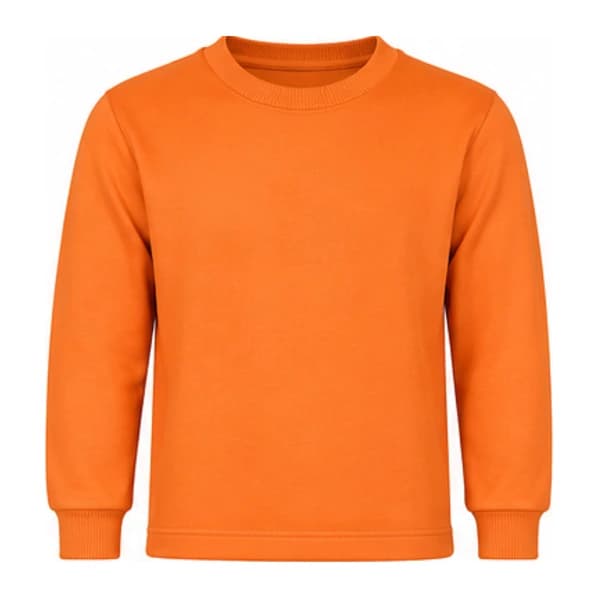 GD GOENKA SWEAT SHIRT ORANGE
