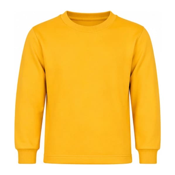 GD GOENKA SWEAT SHIRT YELLOW